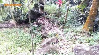 Pesona Situs BATU DANDANG  Wisata Purb