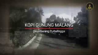 Kopi Gunung Malang Purbalingga Yang Mendunia