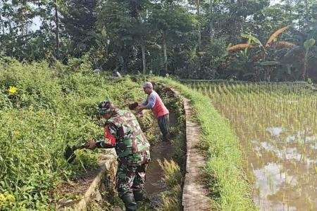 BERSIHKAN SALURAN IRIGASI SAWAH, S