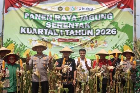 Polres Demak Panen Raya Jagung Serenta
