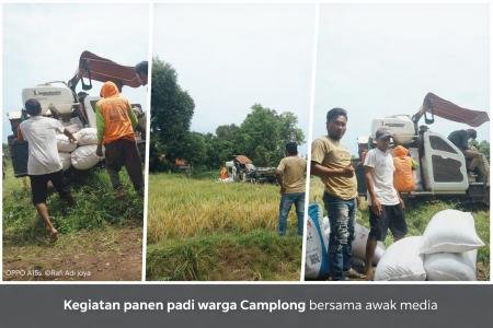 DUA AWAK MEDIA TURUN KE SAWAH, WUJ