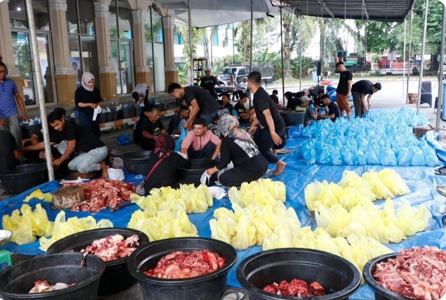 150 Ton Daging Kurban PTPN IV PalmCo Mengalir ke Pelosok Negeri