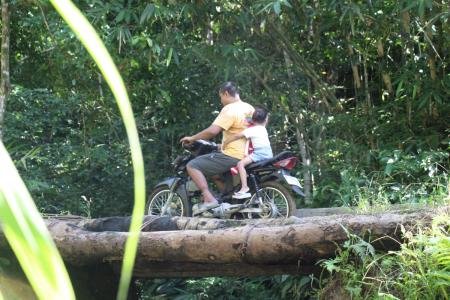 Dari Cemas Menjadi Harap Jembatan Kran