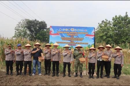 DARI SAWAH TLOGOREJO POLRES DEMAK 