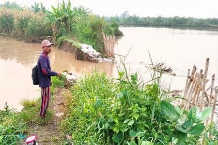 Tanggul Sungai Bodri di Pidodokulon Jebol Hampir Dua Pekan Ratusan War