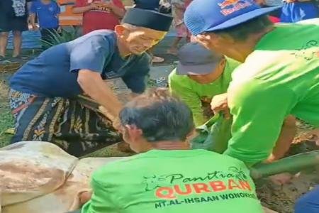 Iduladha Penuh Berkah di Sendangdawung Musholla AlIhsaan Sembelih 10 S