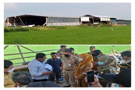 Perusahaan limbah bulu ayam Po