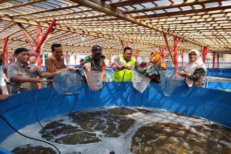 PANEN RAYA IKAN NILA BUMDES SIDA M