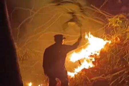 Kebakaran Lahan di Sambongsari Anggota