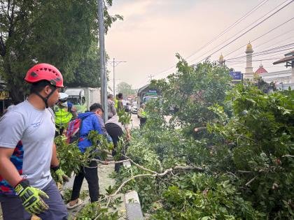 Polres Kendal dan BPBD Gerak Cepat Evakuasi Pohon Tumbang yang Timpa Truk di Jalan Soekarno Hatta