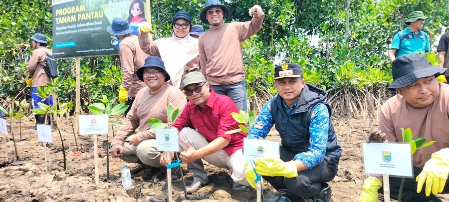 Cegah Abrasi, Ribuan Mangrove Ditanam di Pesisir Kuripan Batang