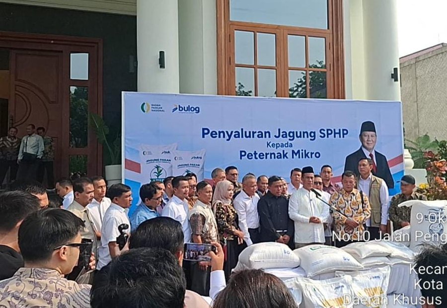 Peternak Unggas Keluhkan Pakan Mahal dan Telur Sulit Terserap, Pemerintah Siapkan Langkah Ini