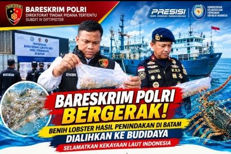 DORONG BUDIDAYA LEGAL, DITTIPIDTER
